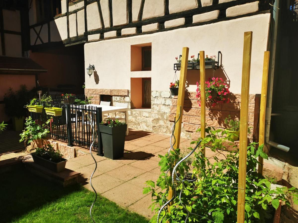 Le Gite De Coco Riquewihr Bagian luar foto