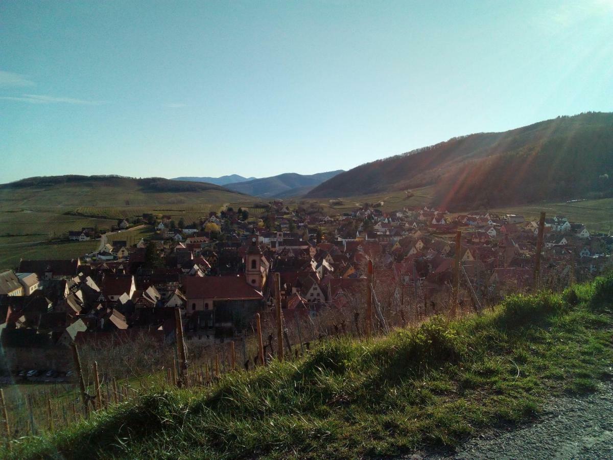 Le Gite De Coco Riquewihr Bagian luar foto